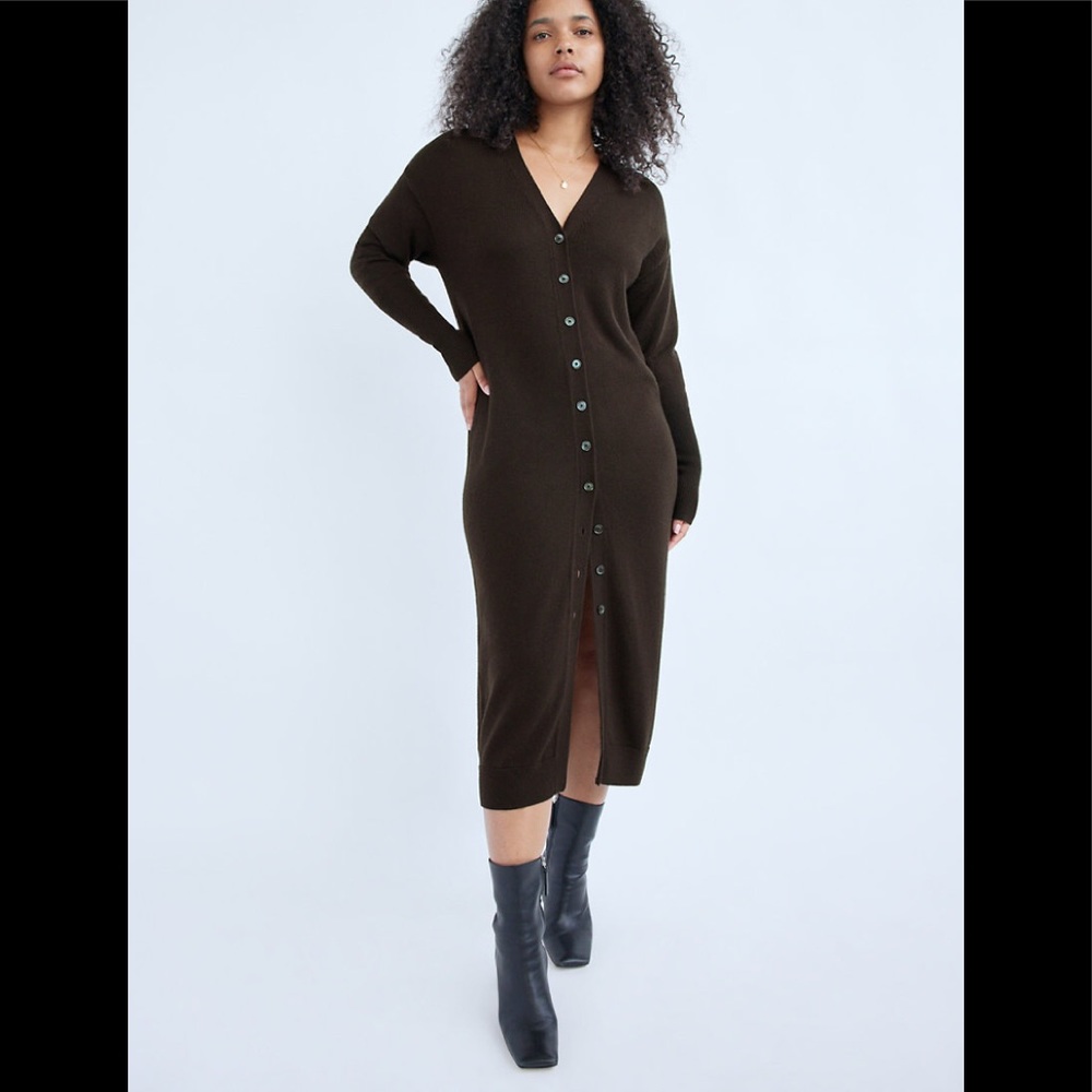 NWT Wilfred Utopia Dress